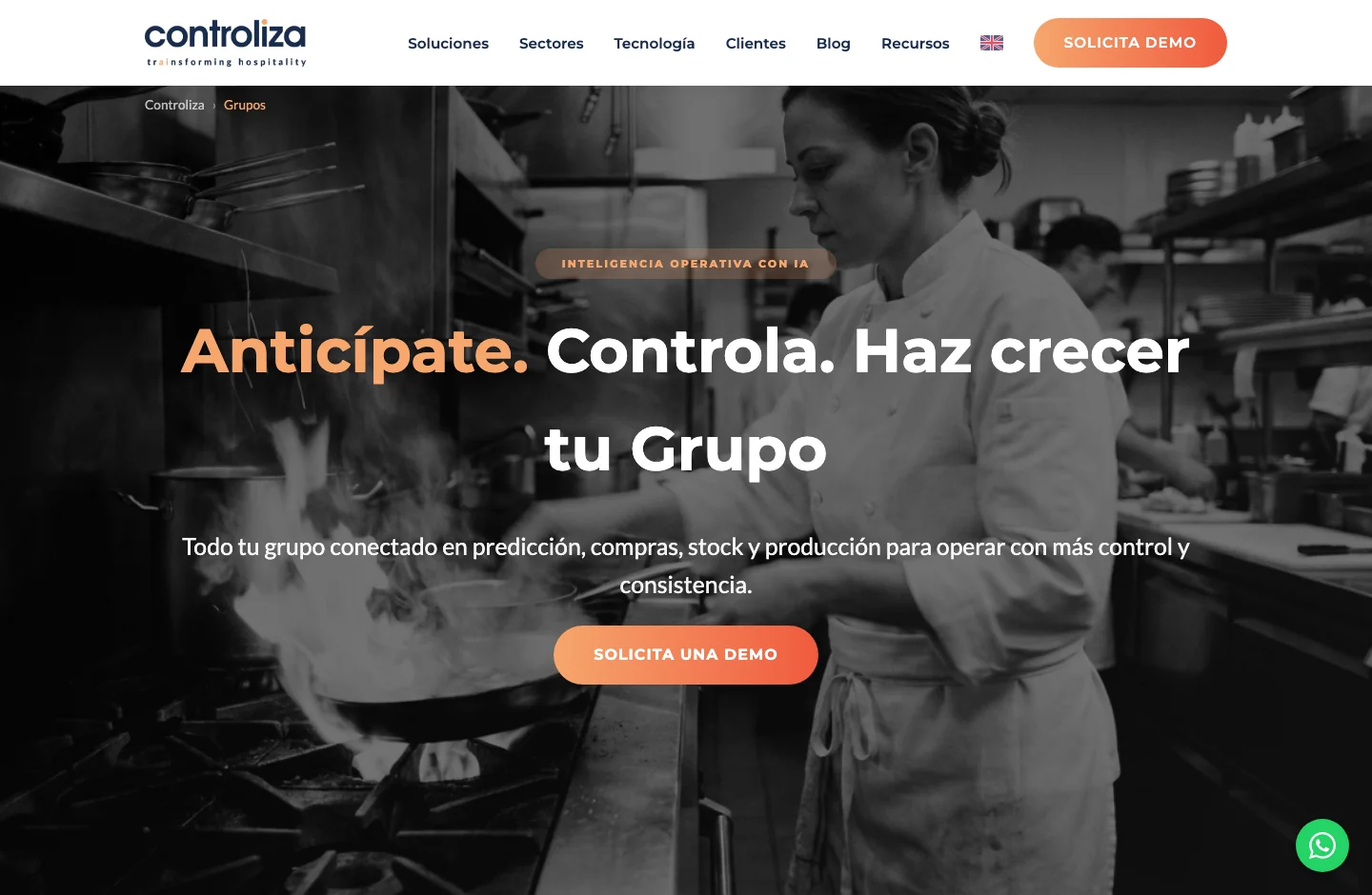 Controliza home page, with its product proposal